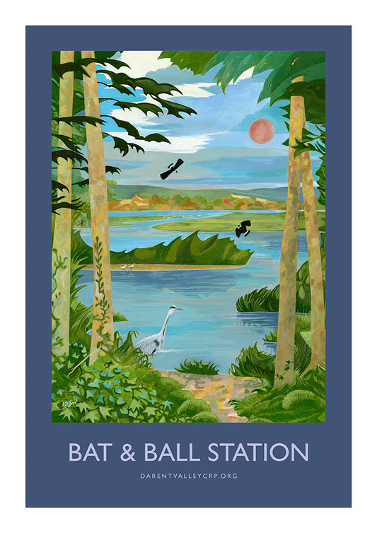 Bat & Ball - Poster